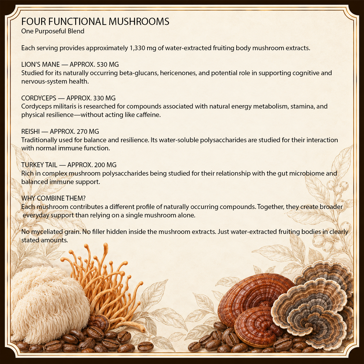 Appalachian Shroomery Mushroom Coffee Blend