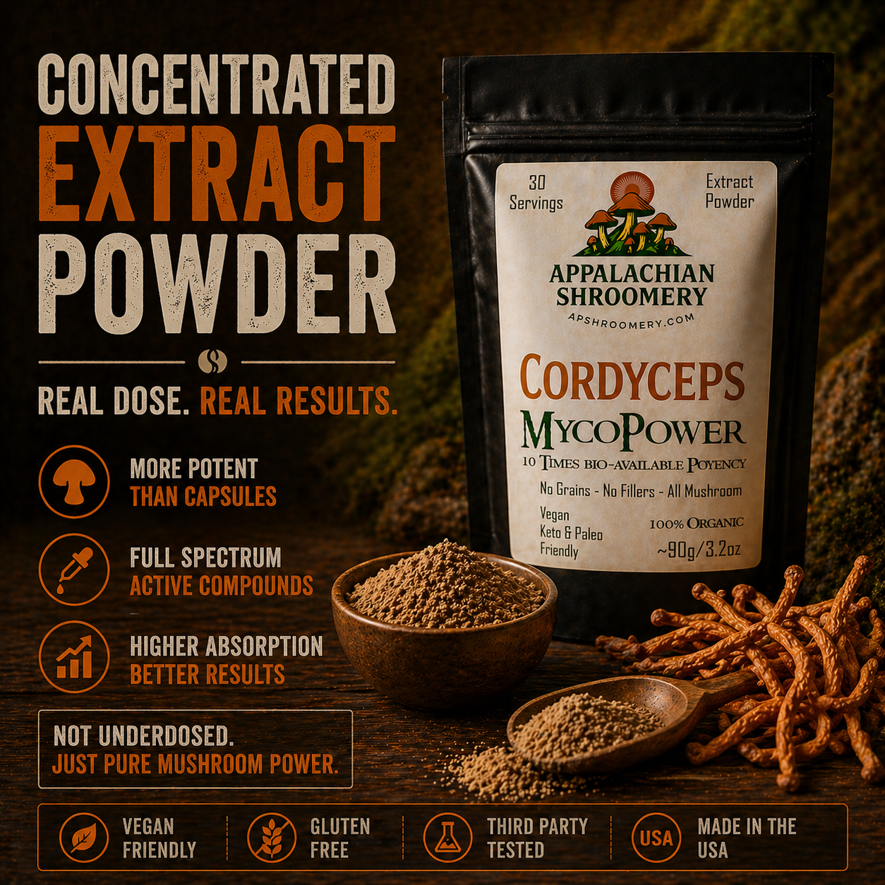 Cordyceps Extract Powder for Energy & Endurance