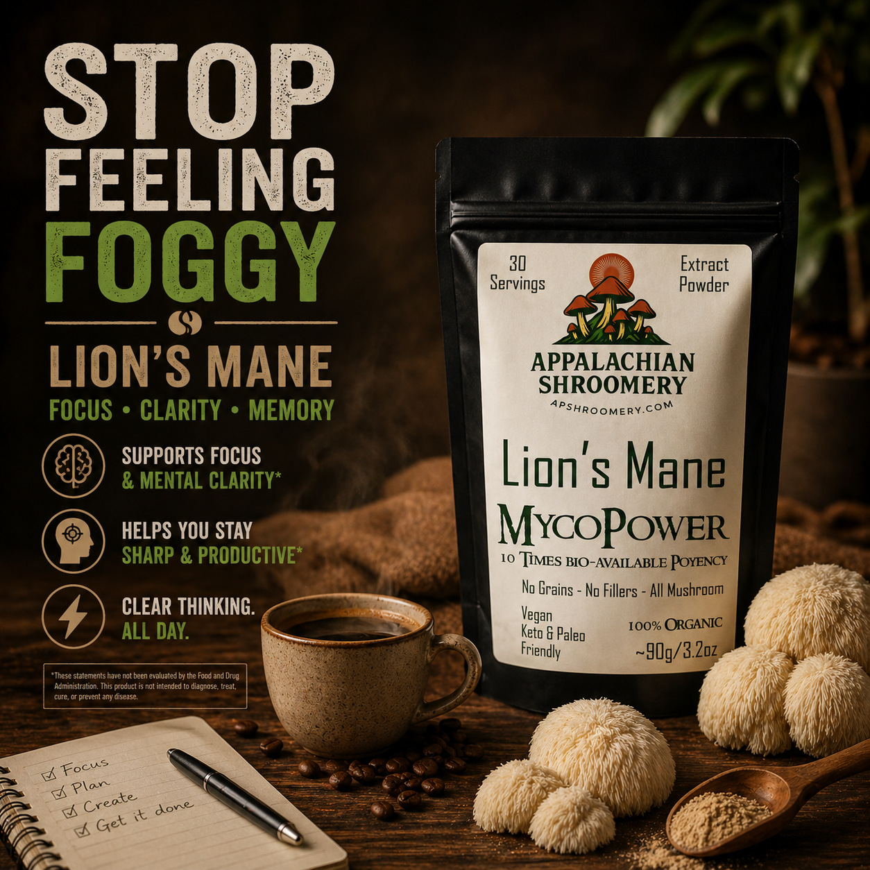 Lion's Mane Extract Powder for Focus & Memory