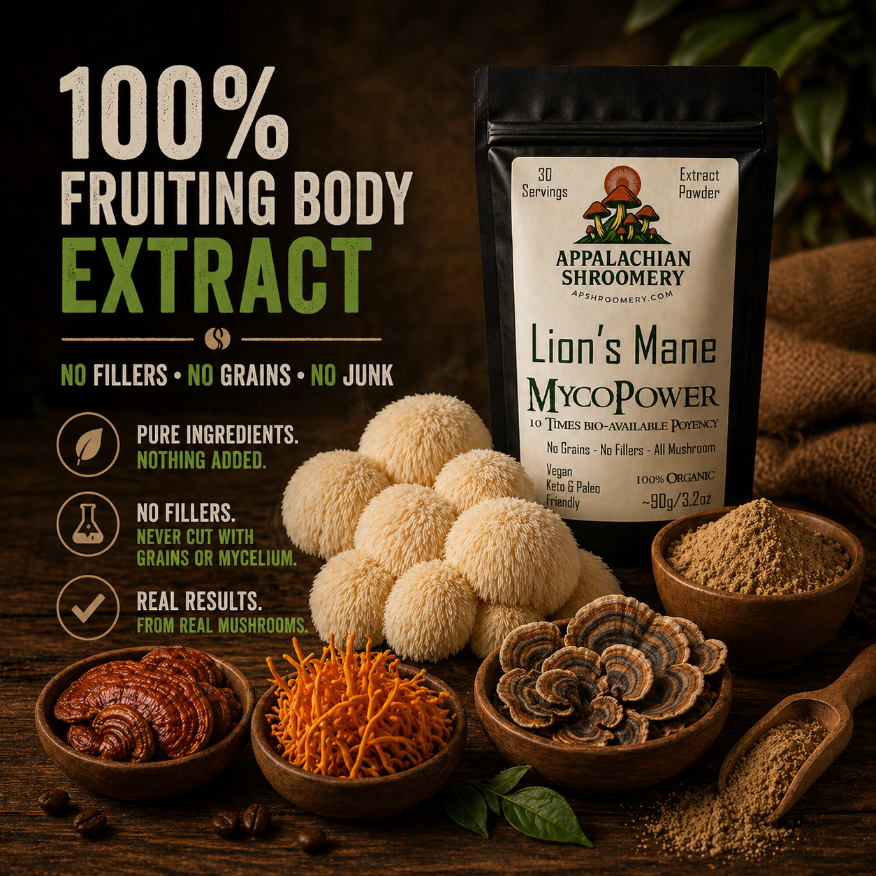 Lion's Mane Extract Powder for Focus & Memory