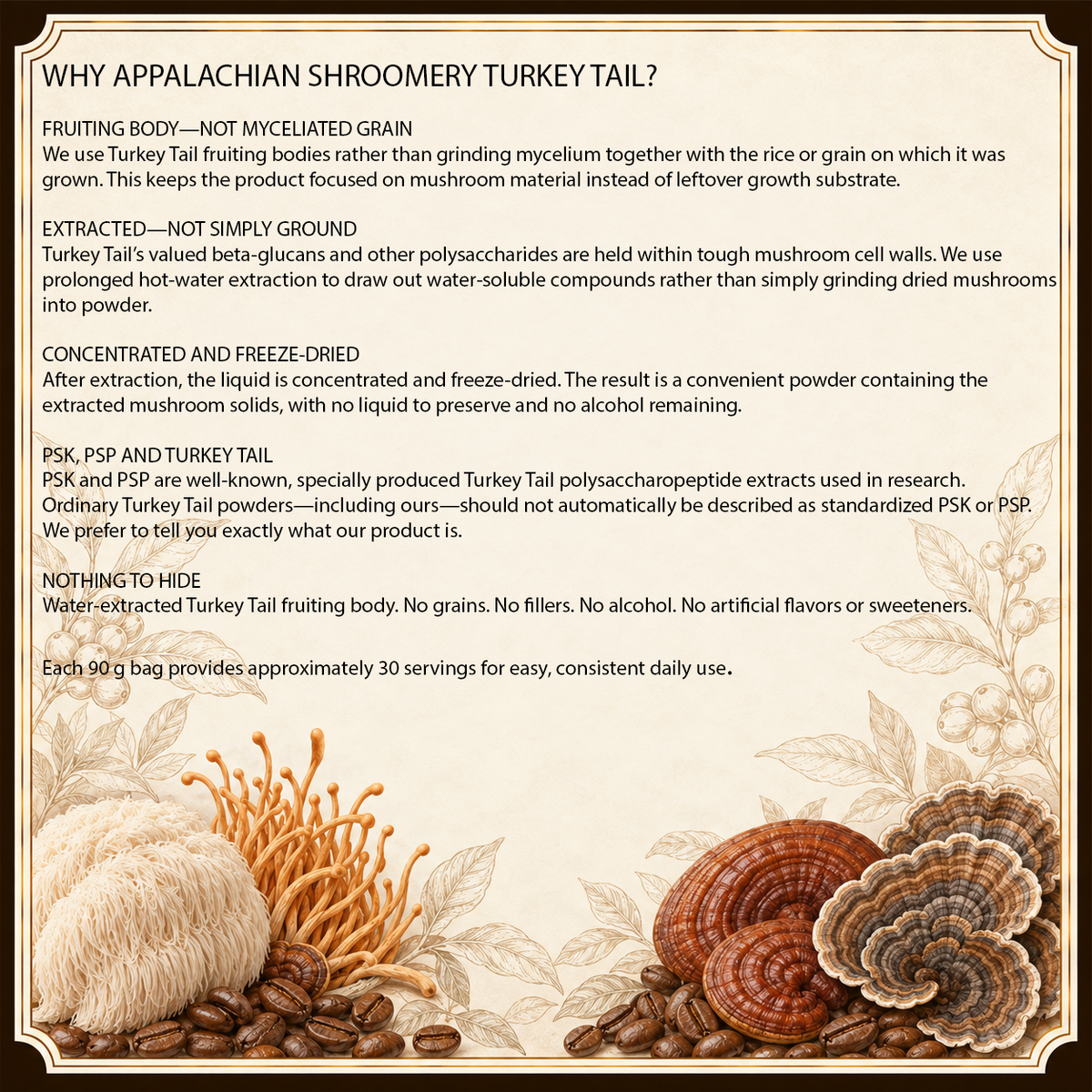 Turkey Tail Extract Powder for Immune Support