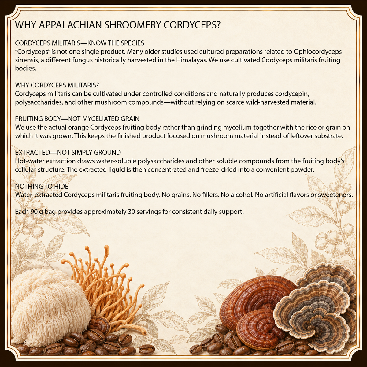Cordyceps Extract Powder for Energy & Endurance