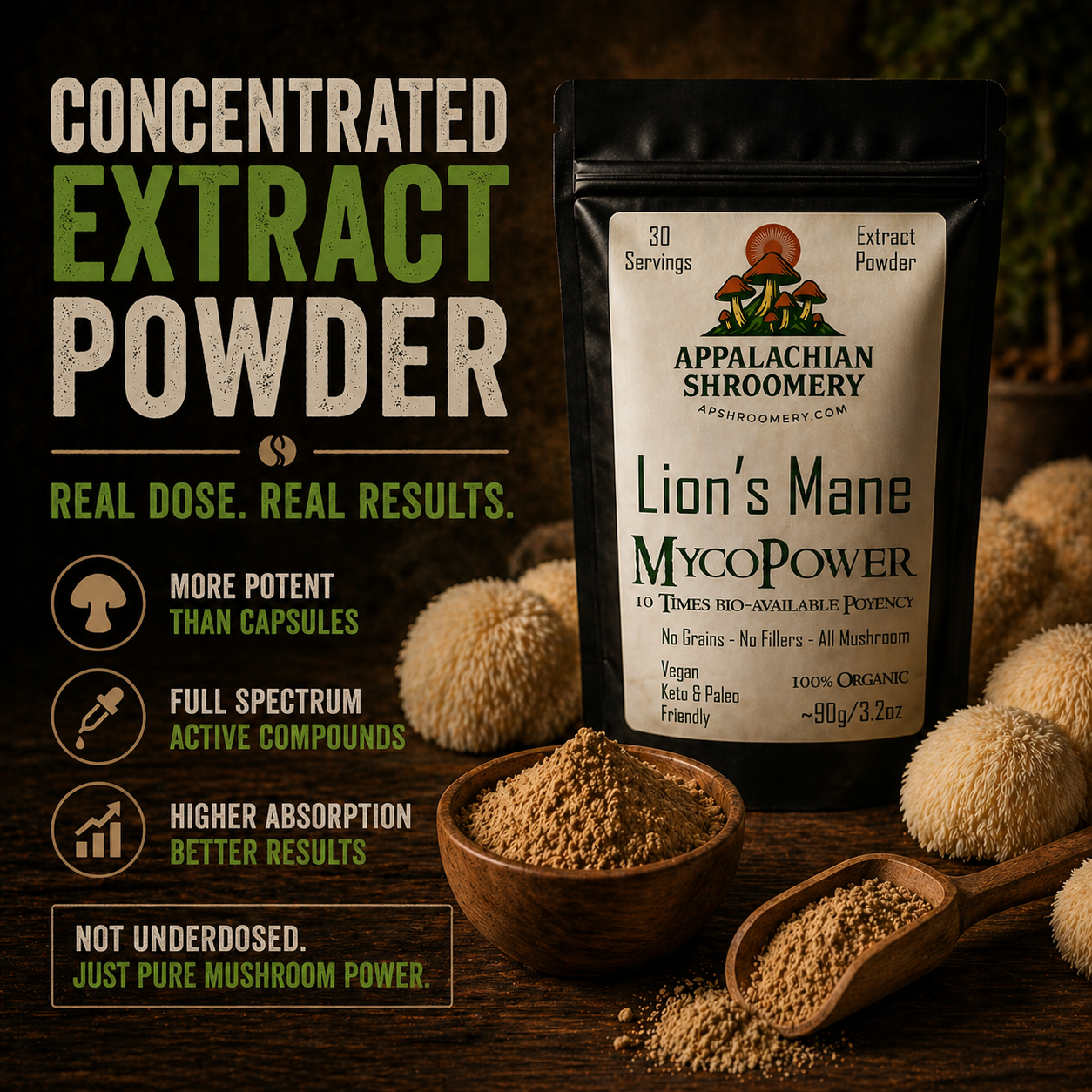Lion's Mane Extract Powder for Focus & Memory