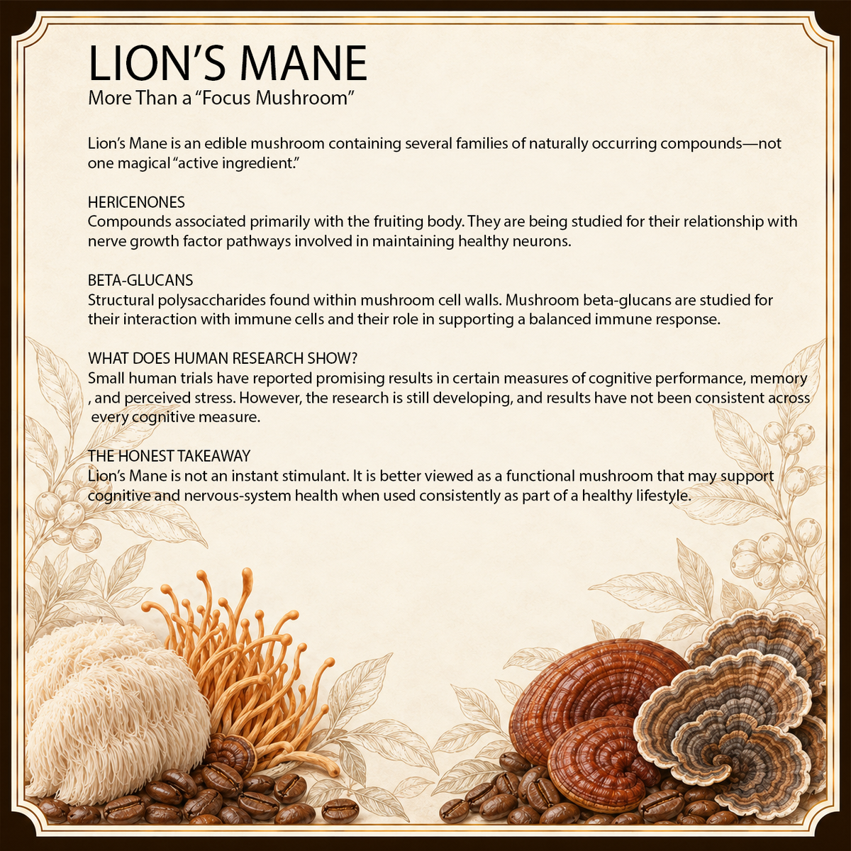 Lion's Mane Extract Powder for Focus & Memory