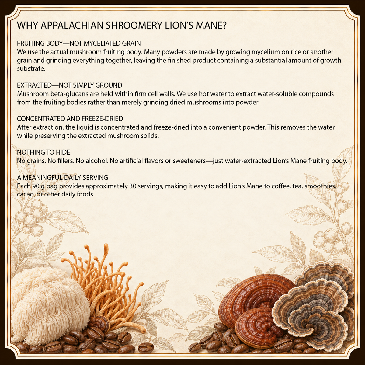 Lion's Mane Extract Powder for Focus & Memory