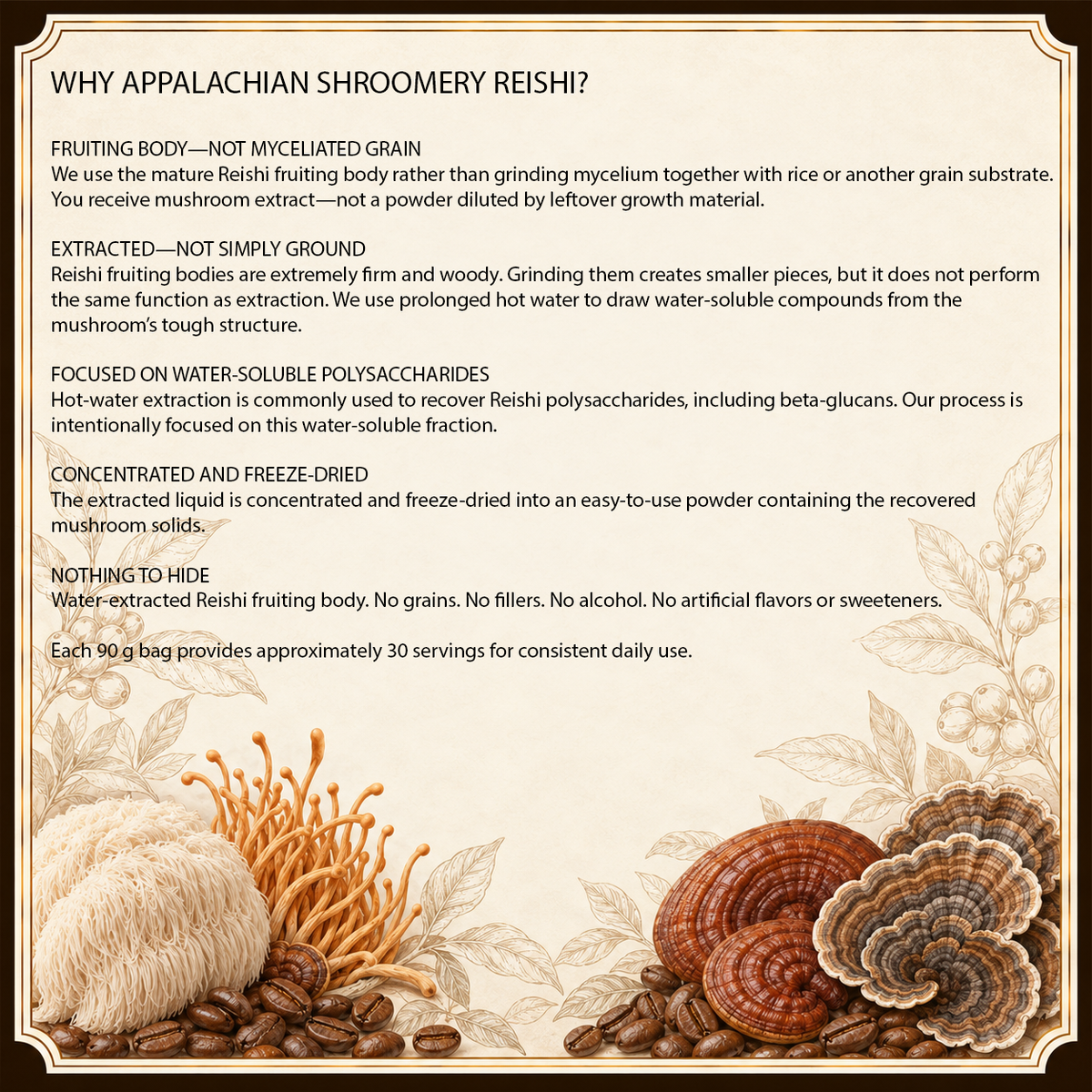 Reishi Extract Powder for Stress & Sleep