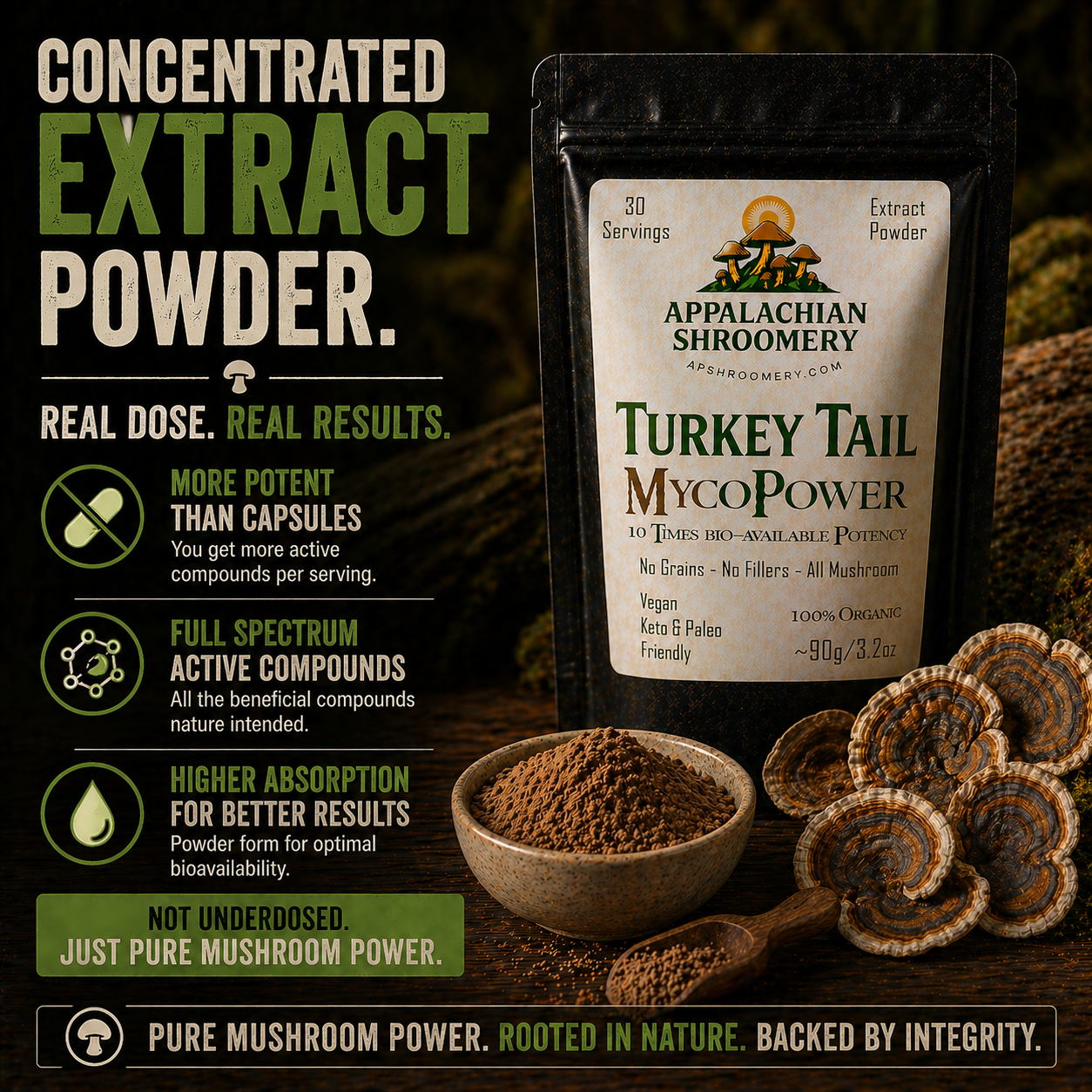 Turkey Tail Extract Powder for Immune Support