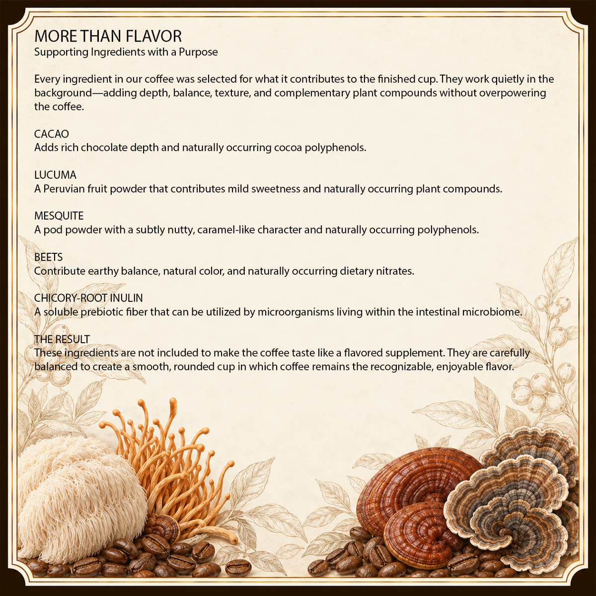 Appalachian Shroomery Mushroom Coffee Blend